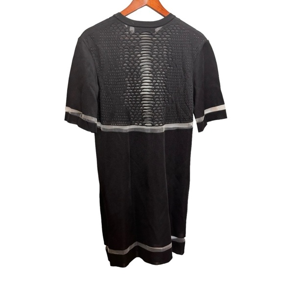Alexander Wang for H&M Dress Mesh Elegant Dress Celebrity Style Size Medium - Picture 12 of 16
